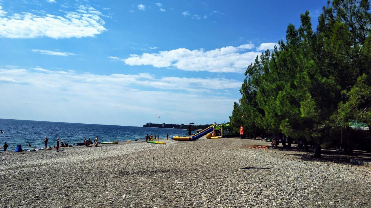 Ковчег Lidzava Экстерьер фото