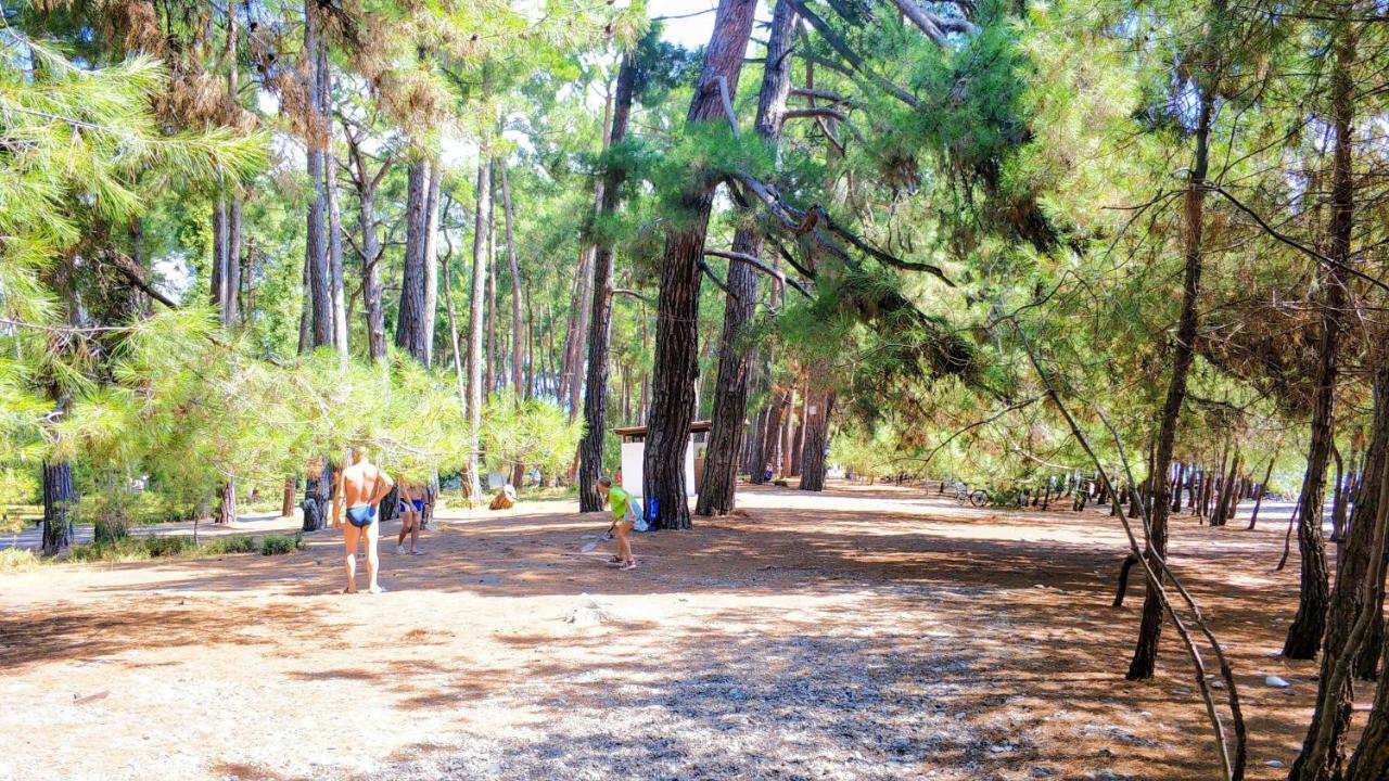 Ковчег Lidzava Экстерьер фото